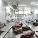 MT lidera exportações de carne bovina e responde por 23% das vendas do Brasil ao exterior
