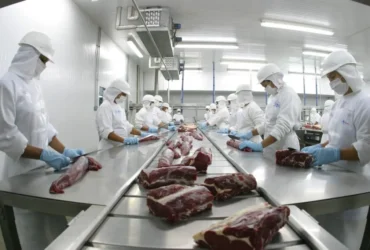 MT lidera exportações de carne bovina e responde por 23% das vendas do Brasil ao exterior