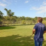 Mapa confirma gripe aviária em Acorizal e ativa protocolo