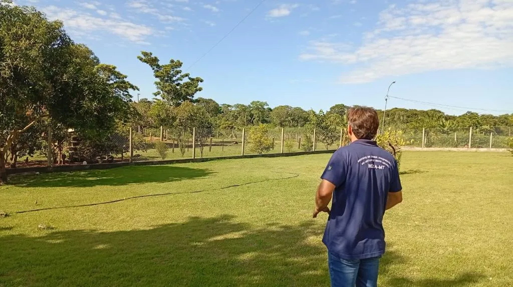 Mapa confirma gripe aviária em Acorizal e ativa protocolo