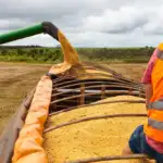 Mato Grosso fecha 2025 como o 4º maior exportador brasileiro