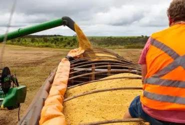 Mato Grosso fecha 2025 como o 4º maior exportador brasileiro