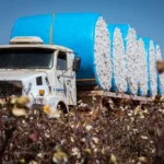 Balança comercial de Mato Grosso lidera o Brasil em 2025