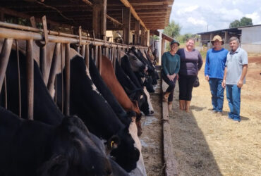 Melhorias do solo, pastagens e nutrição do rebanho fortalecem pecuária leiteira do Paraná
