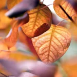 Mensagem do dia: o silêncio também ajuda a organizar decisões