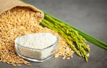 Mercado de arroz segue travado no Rio Grande do Sul à espera de novas ações do governo