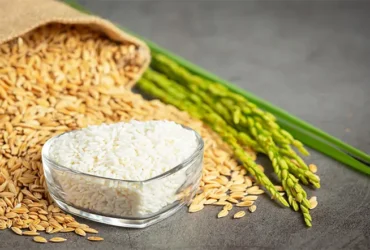 Mercado de arroz segue travado no Rio Grande do Sul à espera de novas ações do governo