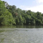 Monitoramento preventivo acompanha nível do Rio Verde e mantém autoridades em alerta durante período de chuvas