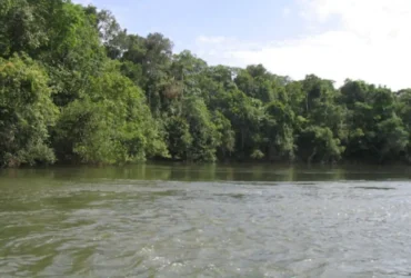 Monitoramento preventivo acompanha nível do Rio Verde e mantém autoridades em alerta durante período de chuvas