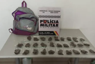 Tráfico de drogas em Tangará da Serra: cinco detidos