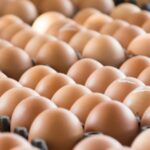 Poder de compra do avicultor de postura cai em janeiro com pressão dos custos de ração