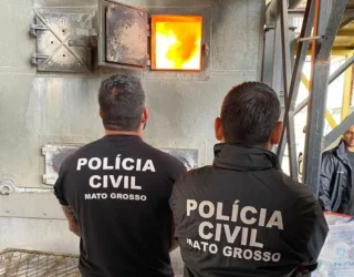 Drogas apreendidas são destruídas pela Polícia Civil em Barra do Garças