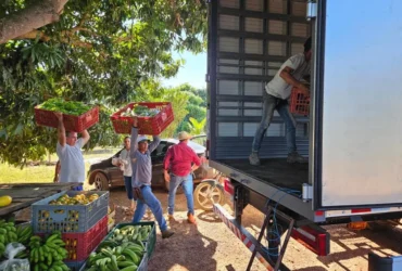 Agricultura familiar em MT ganha força com políticas públicas