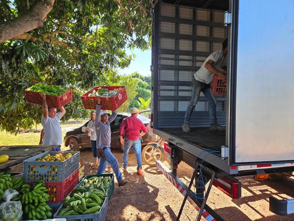 Agricultura familiar em MT ganha força com políticas públicas