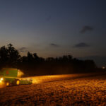 Portaria amplia período de plantio da soja para produção de sementes no Paraná