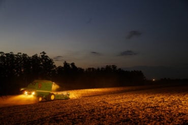 Portaria amplia período de plantio da soja para produção de sementes no Paraná