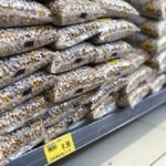 Preços do feijão seguem em alta no mercado brasileiro