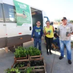 Programa Verde Novo distribui mil mudas durante a 41ª Corrida de Reis