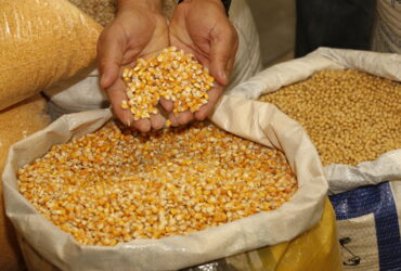 Programa de Venda em Balcão é retomado em todo o país e libera venda de milho em 20 estados e no DF