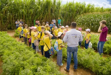Show Safra Agro 360° reforça protagonismo da agricultura familiar