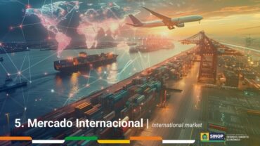 Sinop lidera exportação nacional de sementes e farelos impulsionada pela industrialização
