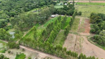 Parceria entre Embrapa e CAT fortalece produção agropecuária sustentável em Mato Grosso