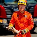 Corpo de Bombeiros resgata saruê a 10 metros de altura em Lucas do Rio Verde (vídeo)
