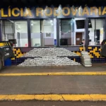 Caminhoneiro é preso com 300 kg de skunk em Rondonópolis