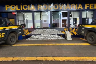 Rodovia de Mato Grosso vira rota do tráfico: PRF intercepta caminhão com quase 300 kg de skunk em Rondonópolis
