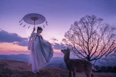 arte ilustrativa do Horóscopo Chinês simbolizando equilíbrio e observação dos ciclos