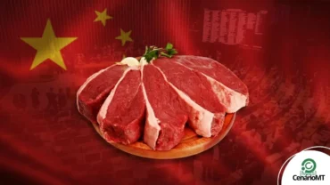 Bancada do agro cobra reação do governo Lula à taxação chinesa