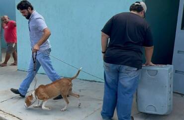 Cães são resgatados após abandono no Jardim Piracema, Barra do Garças