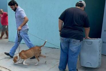 Cães são resgatados após abandono no Jardim Piracema, Barra do Garças