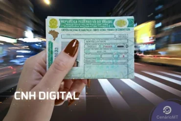 Primeira CNH em 2026: veja como funciona o processo sem autoescola