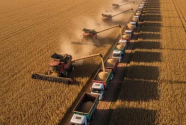 Colheita de soja 2025/26 em Mato Grosso avança para 6,69% da área, diz Imea