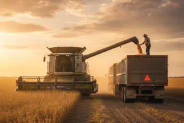 Europeus já ameaçam cortar soja de contratos de fornecimento