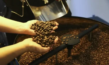 Exportação de café do Brasil recua em 2025, mas receita alcança recorde histórico