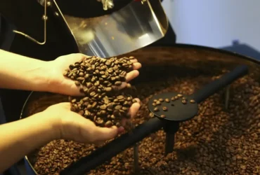 Exportação de café do Brasil recua em 2025, mas receita alcança recorde histórico