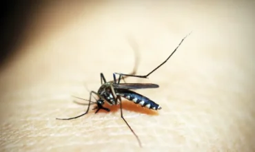 Estudo brasileiro revela novas evidências sobre sequelas do zika em crianças