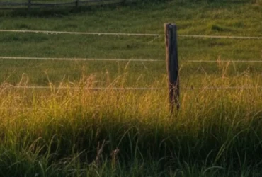 Decreto federal destina áreas rurais de Nova Olímpia à reforma agrária