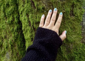 Mão tocando o tronco de uma árvore na natureza