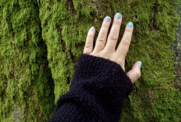 Mão tocando o tronco de uma árvore na natureza