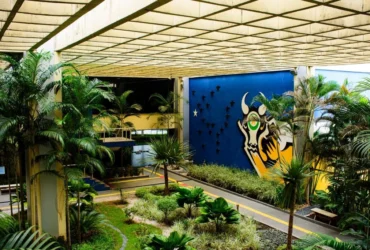 Abiove deixa Moratória da Soja após lei estadual em MT