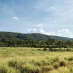 Sema firma 1.271 acordos para recuperar áreas rurais em MT