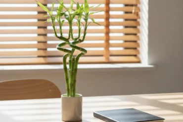 Bambu-da-sorte e itens de escritório simbolizando a retomada e o foco no Horóscopo Chinês.