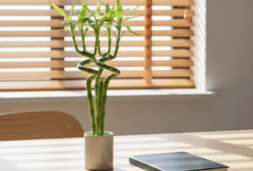 Bambu-da-sorte e itens de escritório simbolizando a retomada e o foco no Horóscopo Chinês.