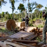 MT aplica R$ 2,7 bilhões em multas por crimes ambientais em 2025