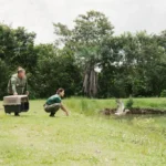 Sema investe R$ 2 milhões em atendimento à fauna em Mato Grosso