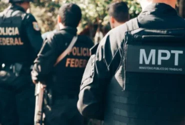 Força-tarefa resgata 627 trabalhadores em condições análogas à escravidão em MT