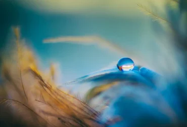 O clima do dia favorece escolhas mais conscientes e menos automáticas.